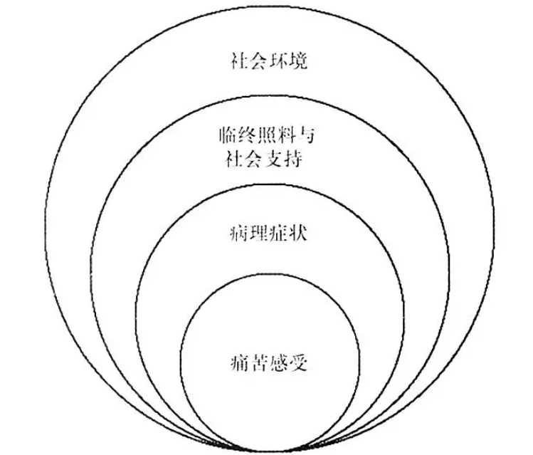 15564384333822.png